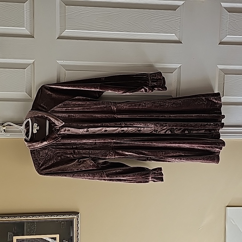 Dark Plum Velvet Mini Dress